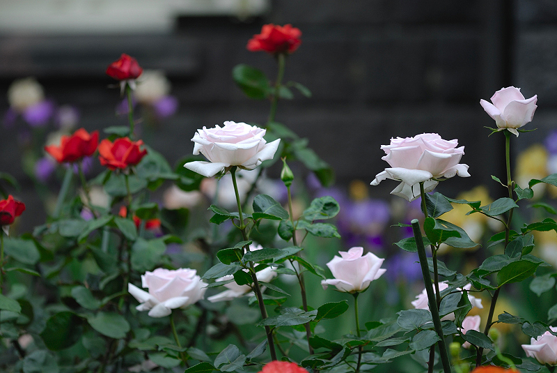image0397
