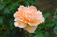 image0099