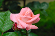 image0128