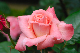 image0129