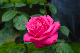image0130