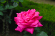 image0131