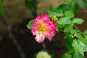 image0138