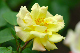 image0141