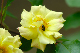 image0142