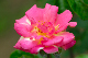 image0143