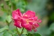 image0144