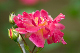 image0145