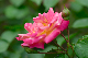 image0146