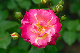 image0148