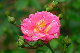 image0149
