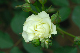 image0151