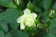 image0152