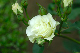 image0153