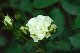 image0154
