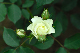 image0156