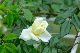 image0157