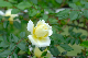 image0158