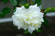 image0160
