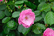 image0162
