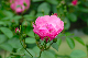 image0164