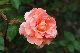 image0167