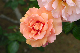 image0168
