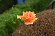 image0170