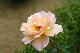 image0171