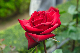 image0172