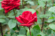 image0173