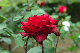 image0174