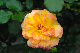 image0178
