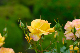image0179