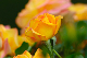 image0182