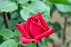 image0183