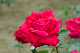 image0190