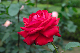 image0192