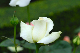 image0193