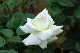 image0195