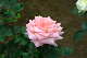 image0197