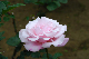 image0200