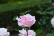 image0201