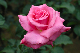 image0203