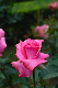 image0204