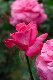 image0206