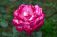 image0208