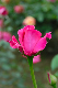 image0210