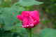 image0211