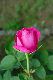 image0213